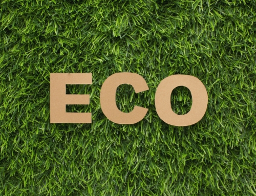 Sustainability in Signage: Eco-Friendly Materials and Practices